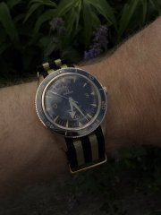 IMG_4363.jpeg
