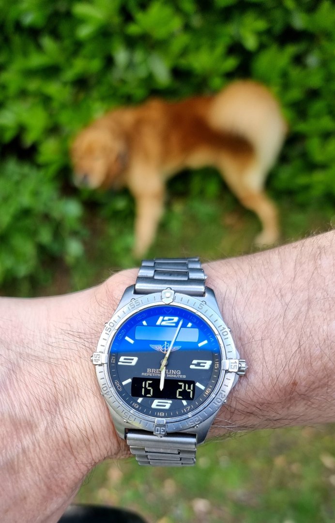 1000056957.jpg