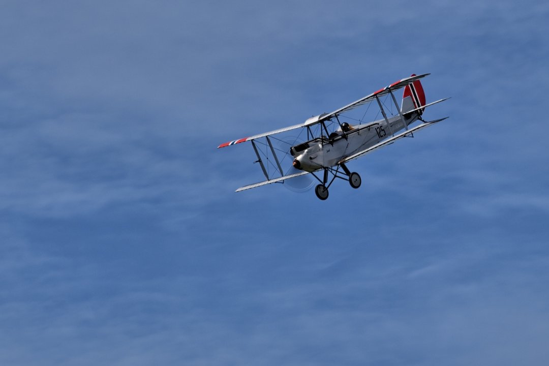 DH60M_Moth.jpg