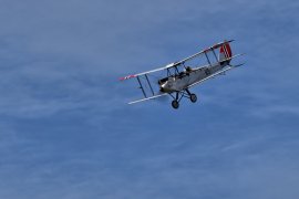 DH60M_Moth.jpg