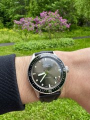 IMG_4973.jpeg