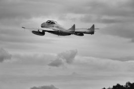 T.55_Vampire.jpg