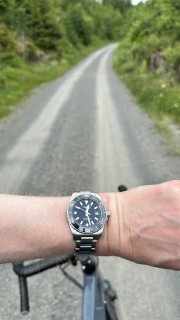 IMG_3535.jpeg
