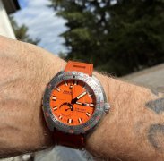IMG_5497.jpeg
