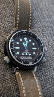 1000029589.jpg