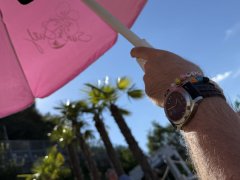 IMG_3351.jpeg