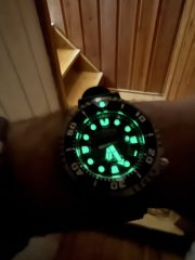 IMG_5505.jpeg