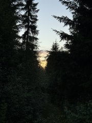 IMG_5515.jpeg