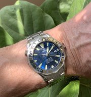 IMG_1295.jpeg