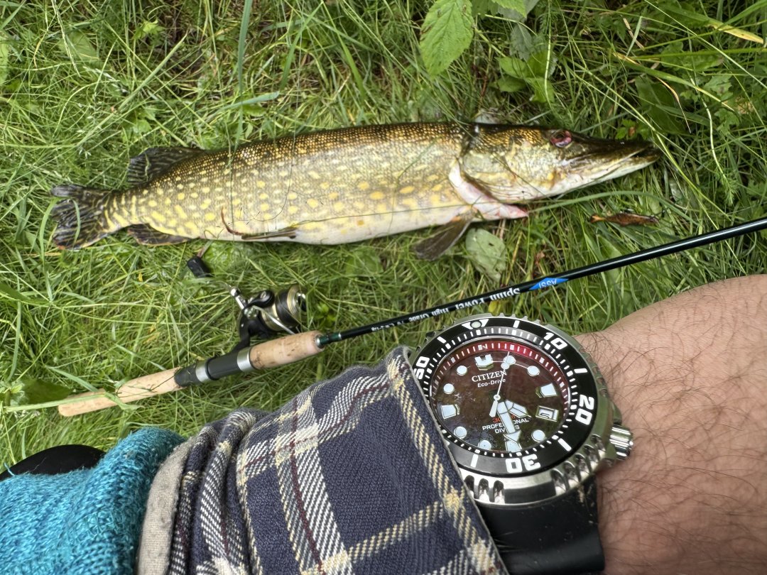 IMG_5528.jpeg