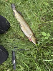IMG_5527.jpeg