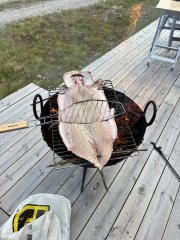 IMG_5530.jpeg