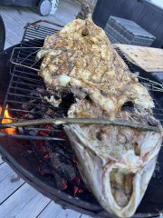 IMG_5534.jpeg