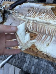 IMG_5540.jpeg