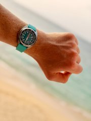 IMG_1486.jpeg