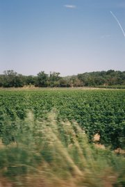 IMG_9672.jpeg
