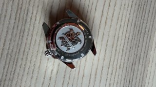 IMG_4658.jpeg
