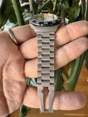 IMG_2639.jpeg