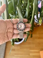 IMG_2637.jpeg