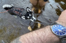 IMG_5584.jpeg