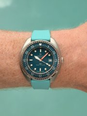 IMG_2149.jpeg