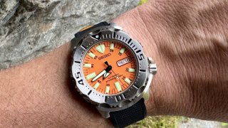 IMG_7320.jpeg