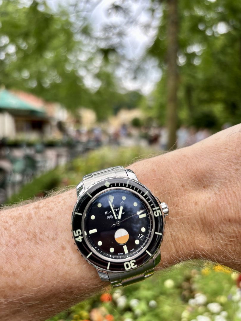 IMG_3203.jpeg