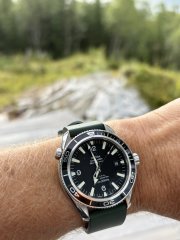 IMG_1073.jpeg