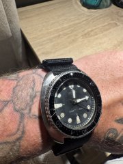 IMG_1291.jpeg