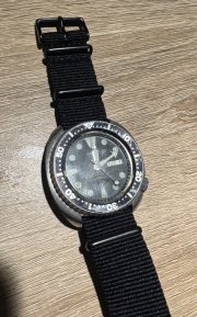 IMG_1290.jpeg