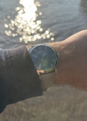 IMG_5618.jpeg