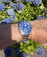 IMG_3869.jpeg