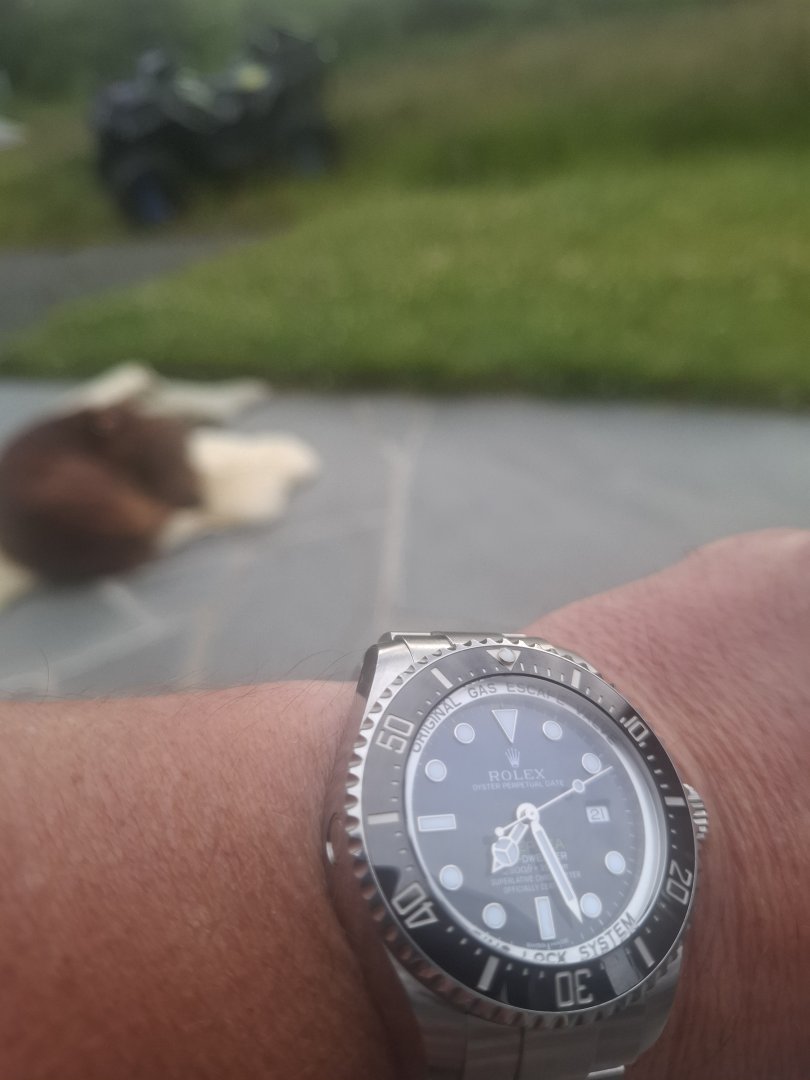 20260721_192711.jpg