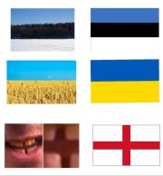 1000009080.jpg