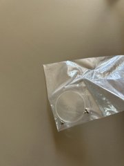 IMG_8372.jpeg