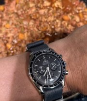 IMG_0801.jpeg