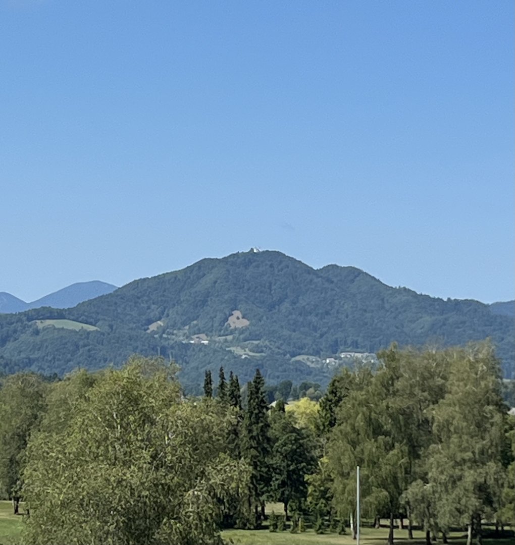 IMG_9989.jpeg
