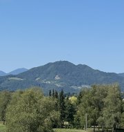 IMG_9989.jpeg