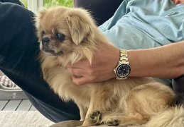 IMG_4249.jpeg
