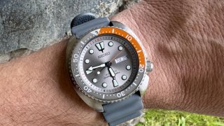 IMG_7334.jpeg