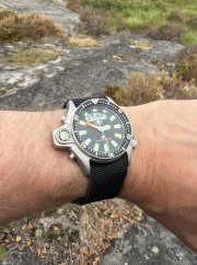IMG_3893.jpeg