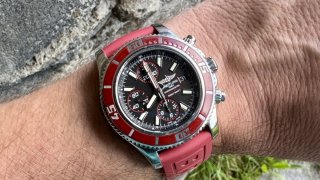 IMG_7342.jpeg