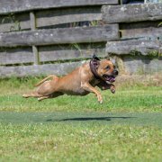 IMG_0545.jpeg