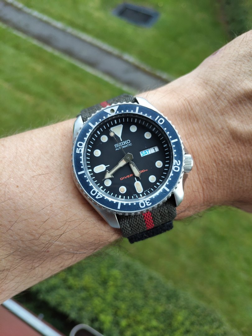 1000039506.jpg