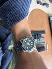 IMG_0219.jpeg