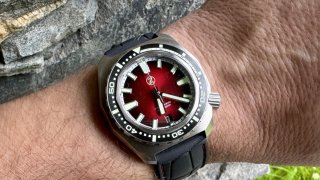 IMG_7352.jpeg