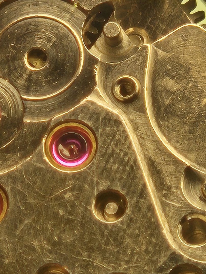 20260808_122745.jpg