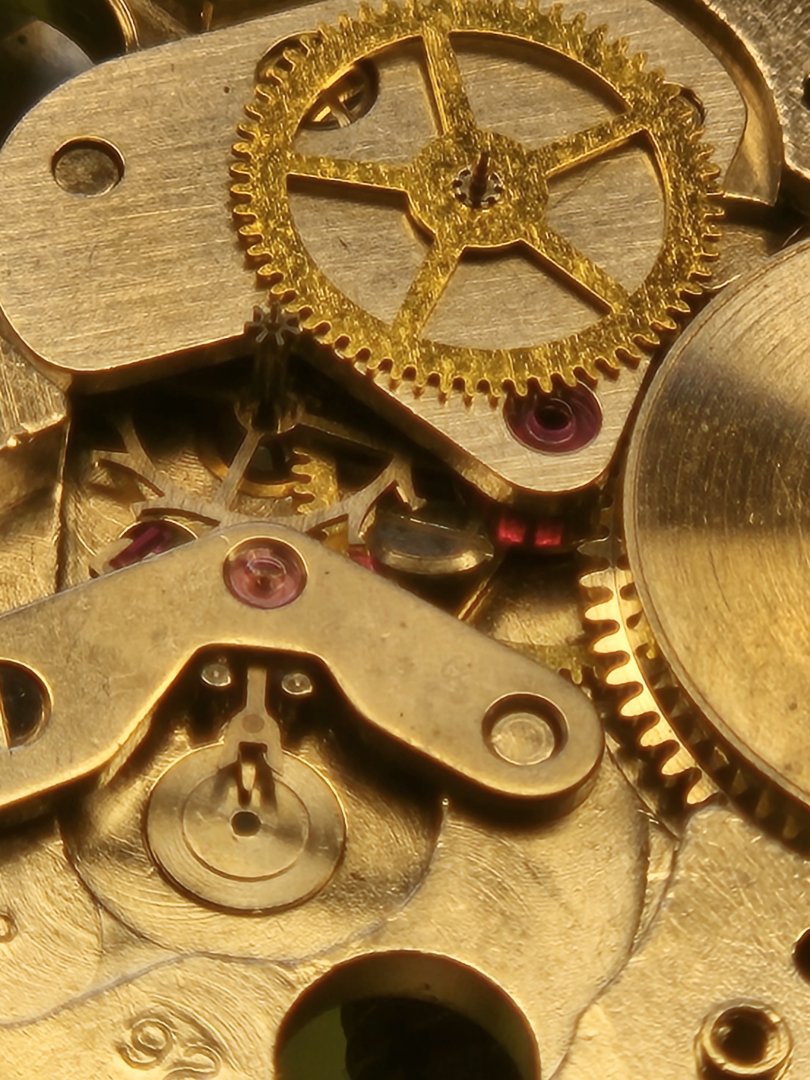 20260808_123552.jpg