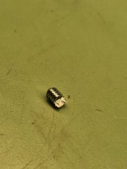 1000037235.jpg