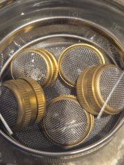 1000037347.jpg